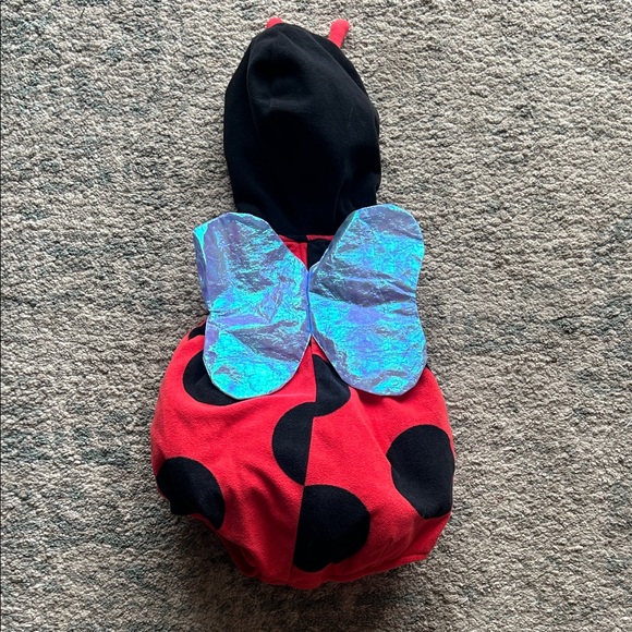 Carter's Lady Bug Red and Black Costume - Picture 3 of 3